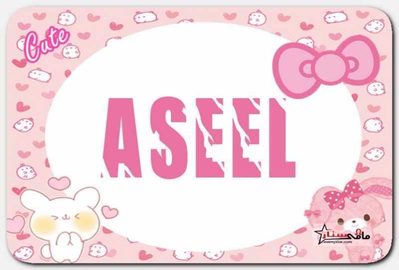 aseel name meaning
