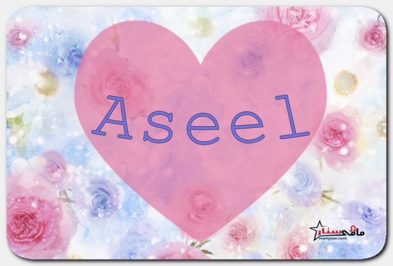aseel name meaning