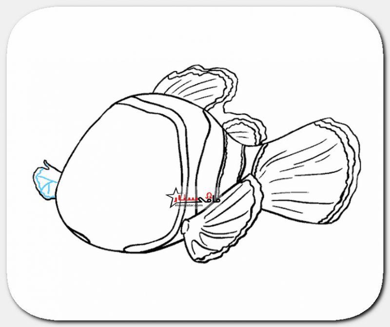 طريقة رسم السمكة نيمو