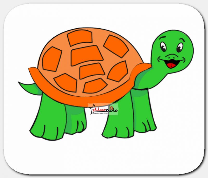 how to draw a turtle step by step 