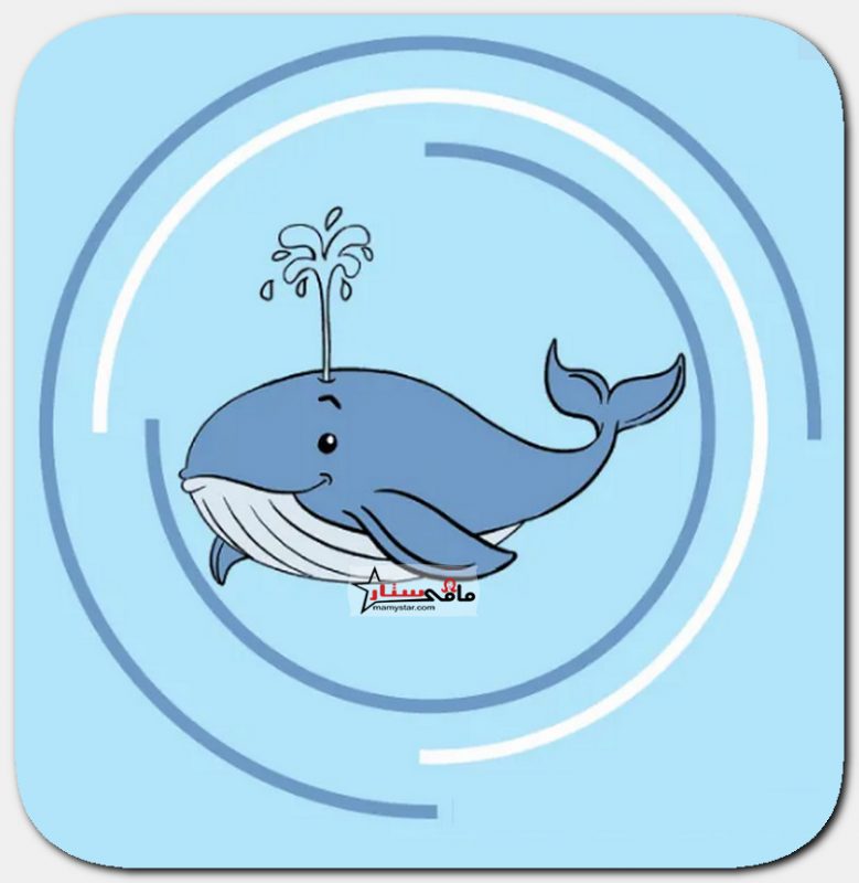 how to draw a whale step by step