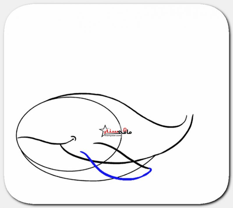 تعلم رسم الحوت الأزرق