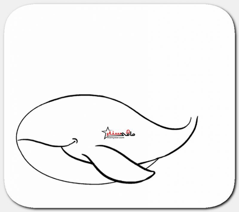 خطوات رسم الحوت الأزرق