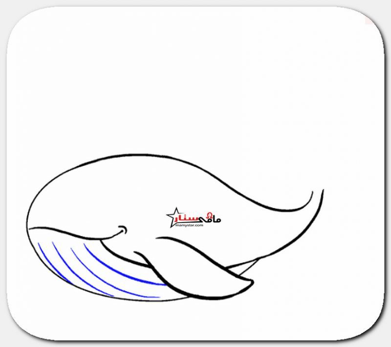 كيف ترسم الحوت الأزرق