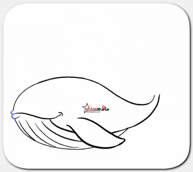 تعليم رسم الحوت الأزرق