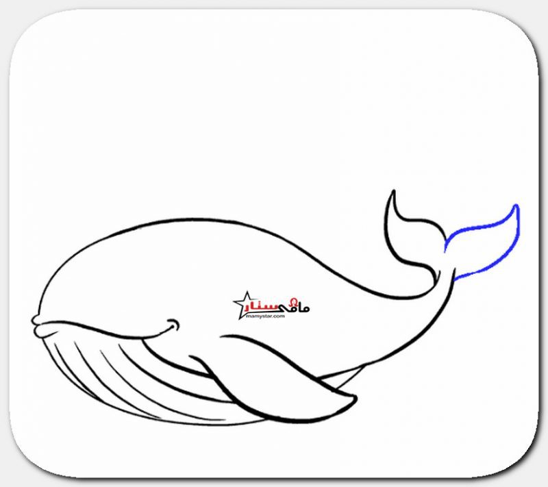 how to draw a whale 