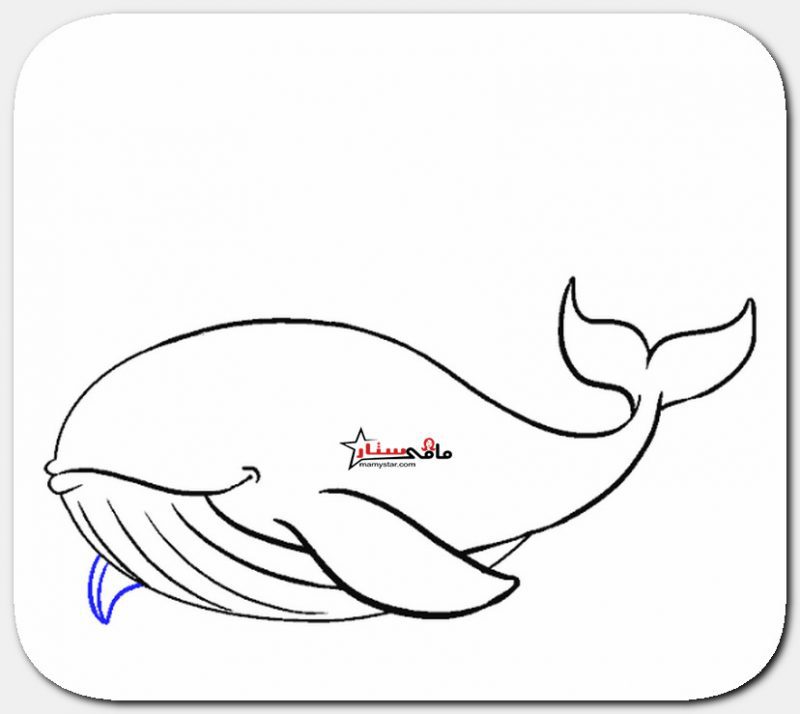 how to draw a whale shark easy