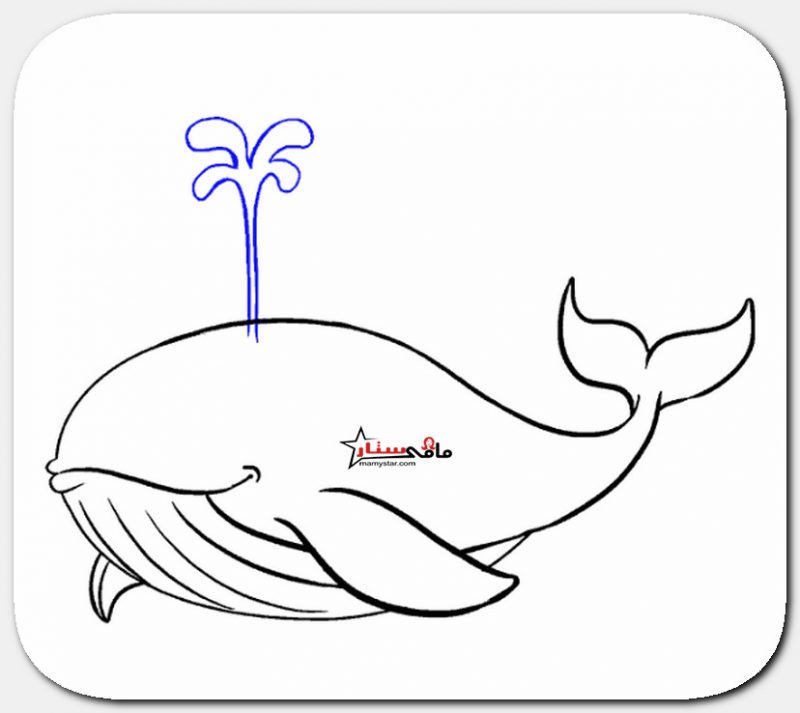 how to draw a cartoon whale step by step