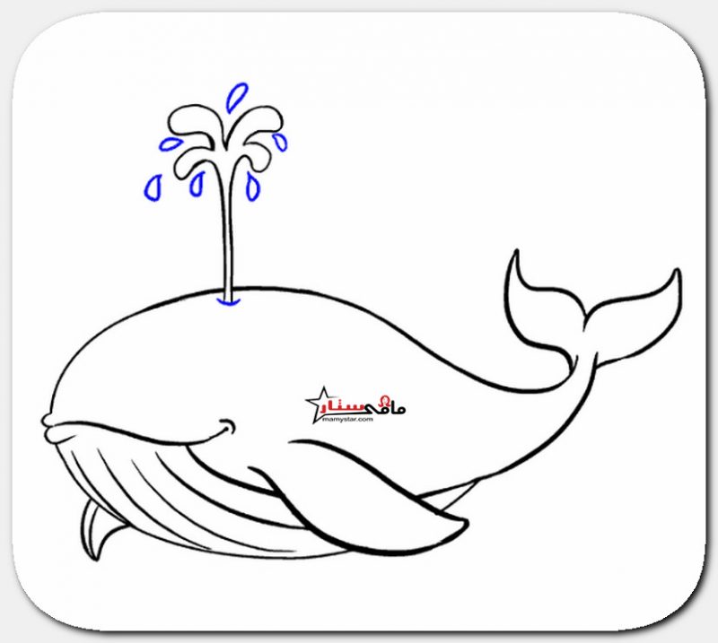 how to draw a whale cartoon