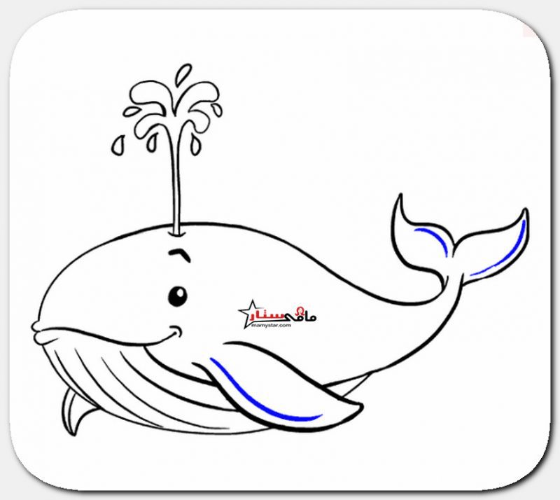 رسم الحوت الأزرق للتلوين