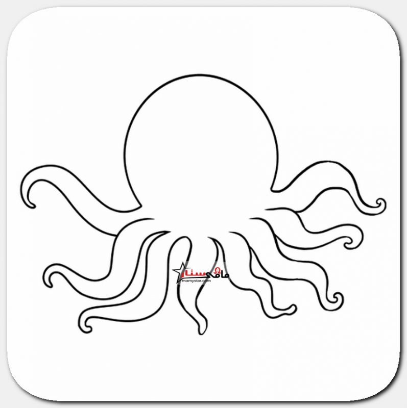 how to draw an octopus cartoon