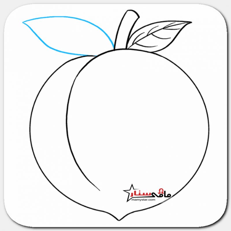 how to draw a peach fruit step by step