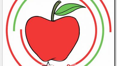 كيفية رسم التفاح للاطفال بالخطوات