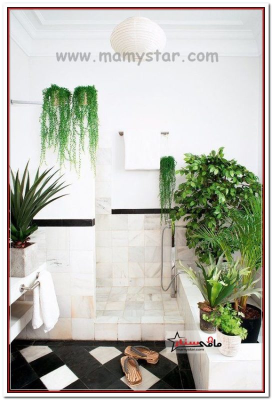 palm leaf bathroom decor