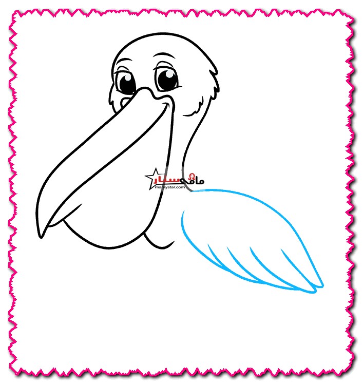 how to draw a pelican easy