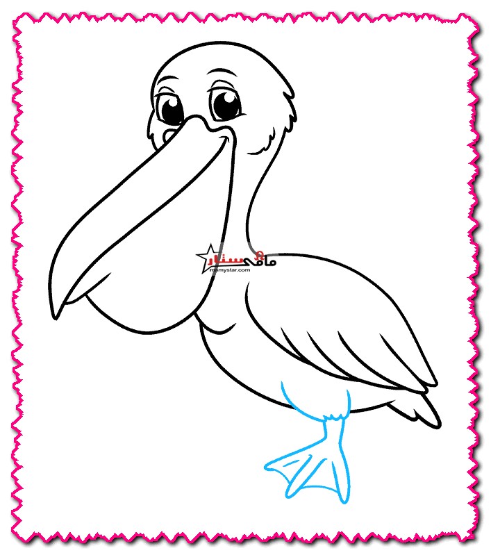 how to draw a pelican step by step