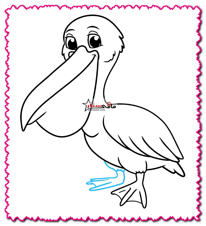 how to draw a pelican easy step by step
