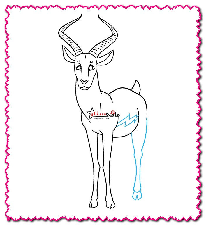 how to draw a pronghorn antelope