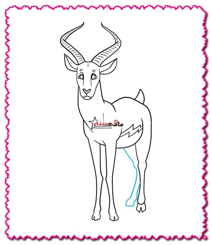 how to draw a pronghorn easy