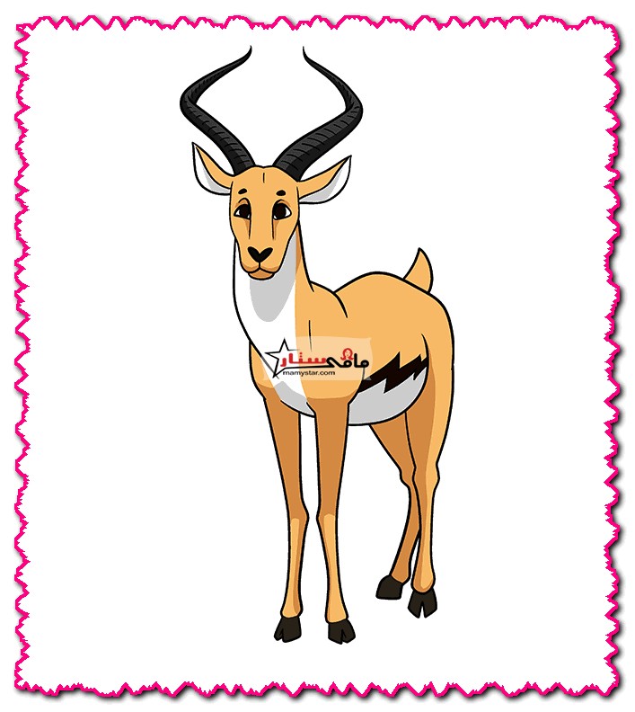 how to draw a pronghorn antelope easy