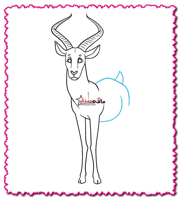 how to draw a pronghorn antelope step by step