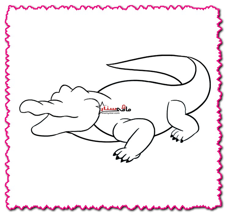how to draw an alligator easy step by step