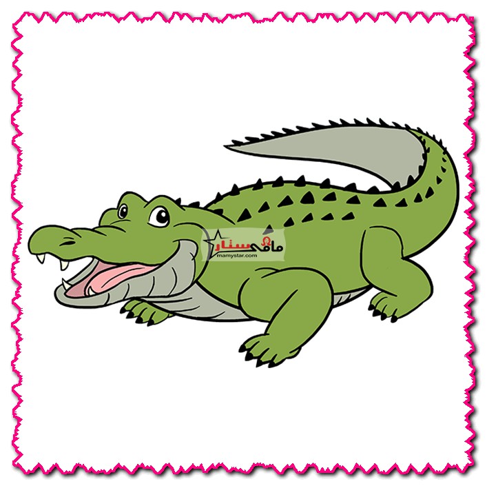 crocodile drawing with colour