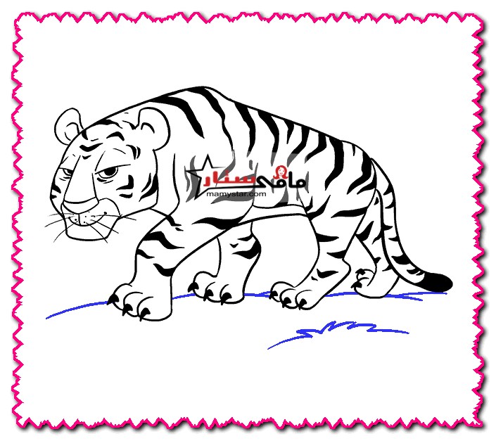 how to draw a tiger cartoon