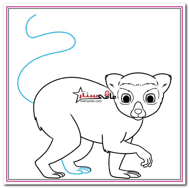 How do you draw a cartoon lemur?