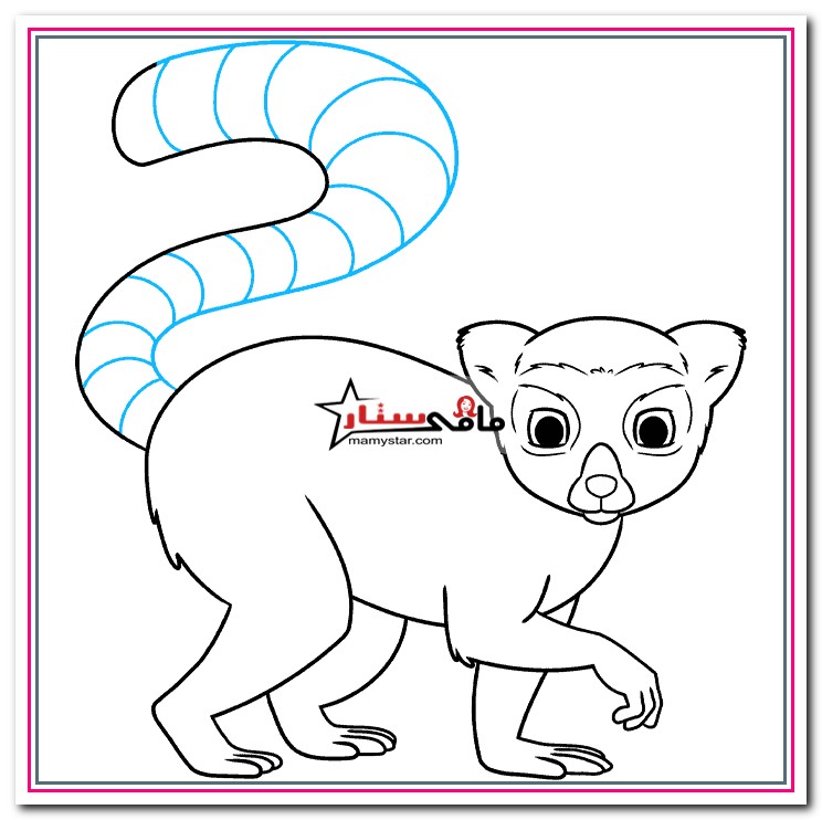 How do you draw a lemur?