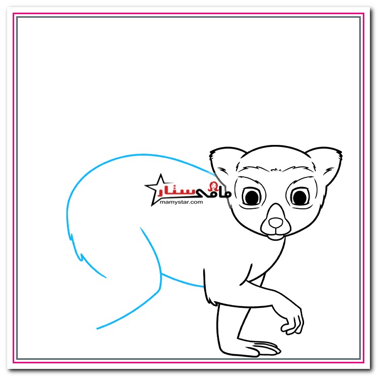 how to draw a lemur body 