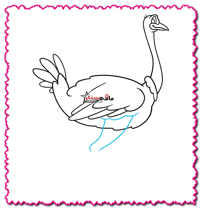 How to draw a realistic ostrich