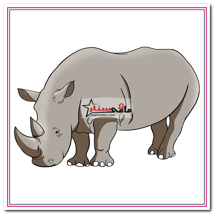 rhino drawing for kids