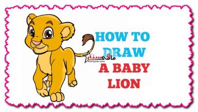 how to draw a baby lion