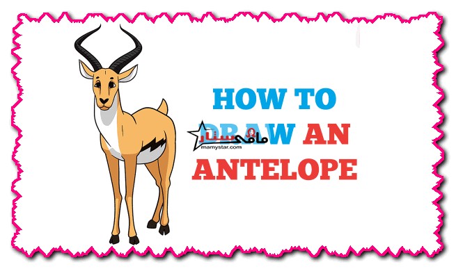 how to draw an antelope
