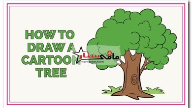 how to draw a cartoon tree