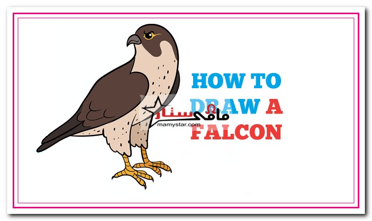 how to draw a falcon