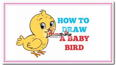 how to draw a baby bird