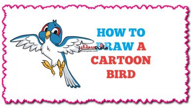 how to draw a cartoon bird