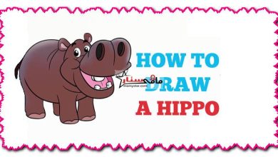 how to draw a hippo