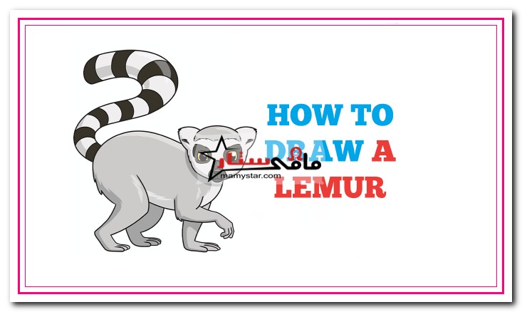 how to draw a lemur