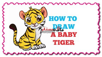 how to draw a baby tiger