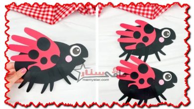 how to make a ladybug craft