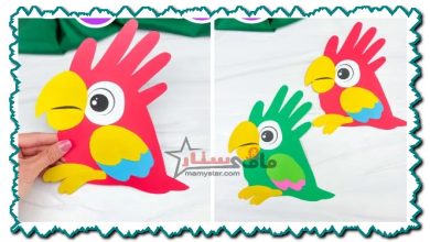 how to make a parrot craft