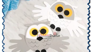 how to make a snowy owl craft