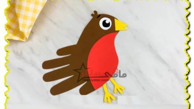 how to make a robin craft