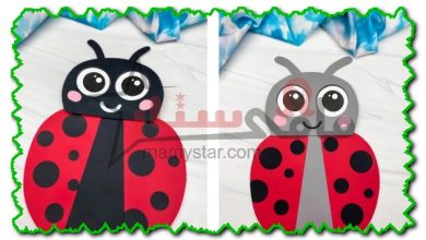 how to make a ladybug out of paper