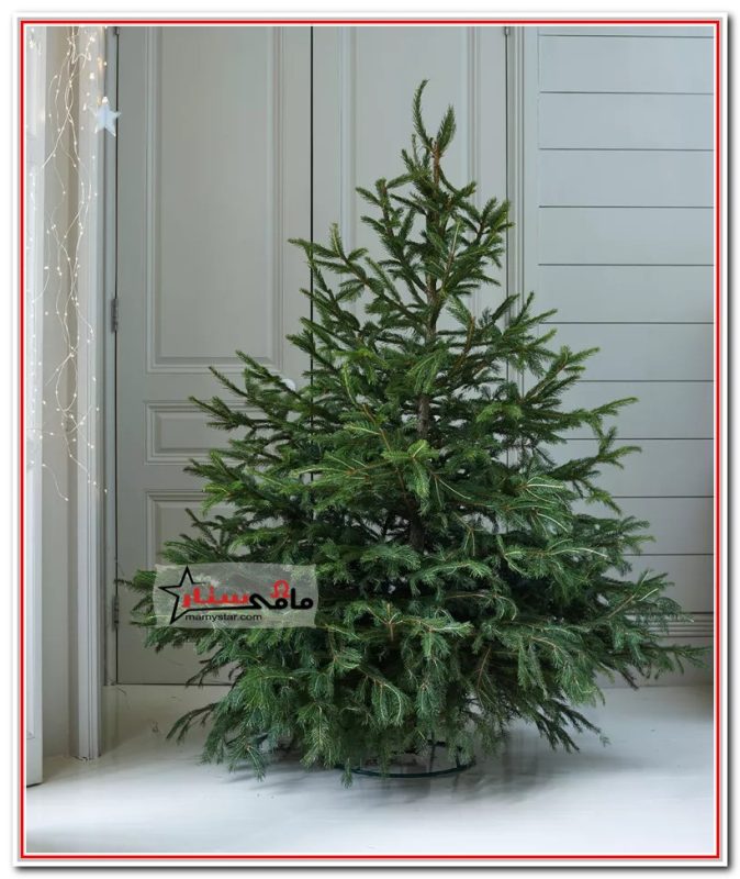 how to decorate a christmas tree step by step