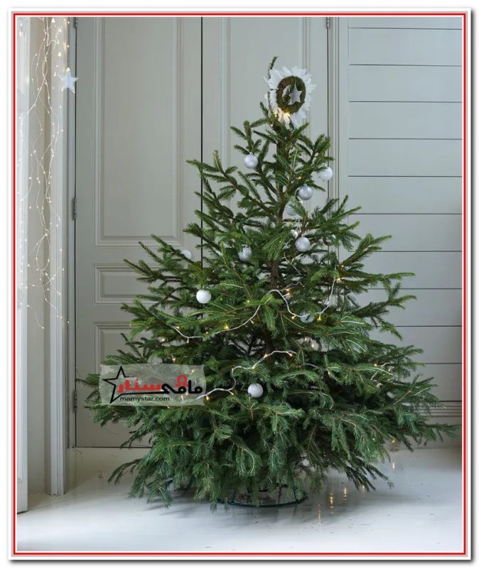 how to decorate a christmas tree professionally