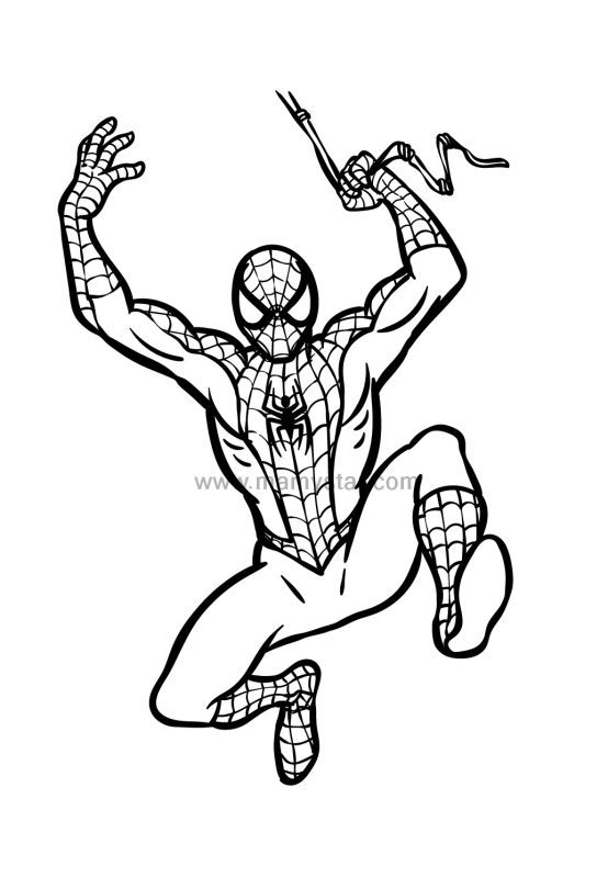 printable spiderman pictures